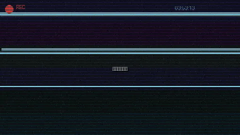 周末随拍记录 - 人物动物交互在线大全免费 原创视频